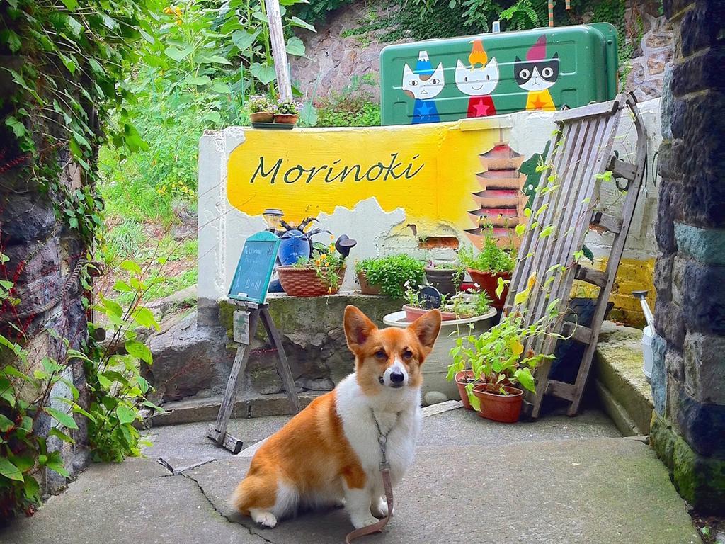 The Otaornai Backpacker'S Hostel Morinoki โอตารุ ภายนอก รูปภาพ